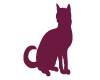 Chat Assis Bordeaux