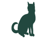 Chat Assis Vert Fonce