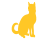 Chat Assis Jaune
