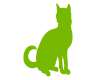 Chat Assis Vert