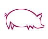 Cochon Framboise