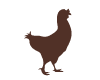 Cocotte Chocolat