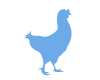 Cocotte Bleu Ciel