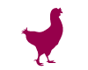 Cocotte Framboise