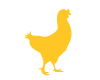 Cocotte Jaune