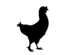 Cocotte Noir