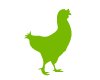 Cocotte Vert