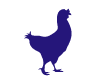 Cocotte Violet