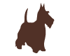 Fox Terrier Chocolat