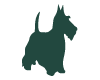 Fox Terrier Vert Fonce