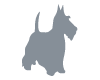 Fox Terrier Gris