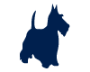 Fox Terrier Bleu Fonce