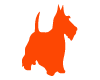 Fox Terrier Orange