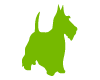 Fox Terrier Vert