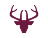 Tete de Cerf Bordeaux