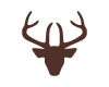 Tete de Cerf Chocolat