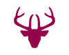 Tete de Cerf Framboise