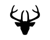 Tete de Cerf Noir