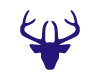 Tete de Cerf Violet