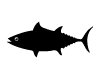 Thon Noir