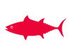 Thon Rouge